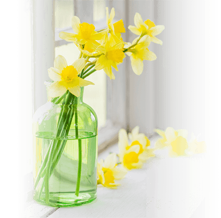 Spring Breaks in Alnwick and Northumberland Offer Image